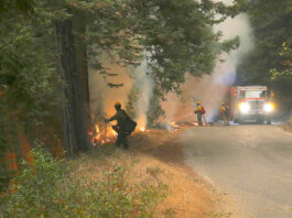 Dolan Fire arsonist sentenced to 24 years in prison