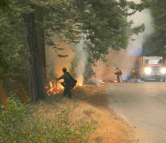 Dolan Fire arsonist sentenced to 24 years in prison