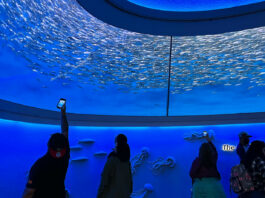 Gonzales Youth Guardians visit Monterey Bay Aquarium