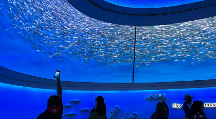 Gonzales Youth Guardians visit Monterey Bay Aquarium