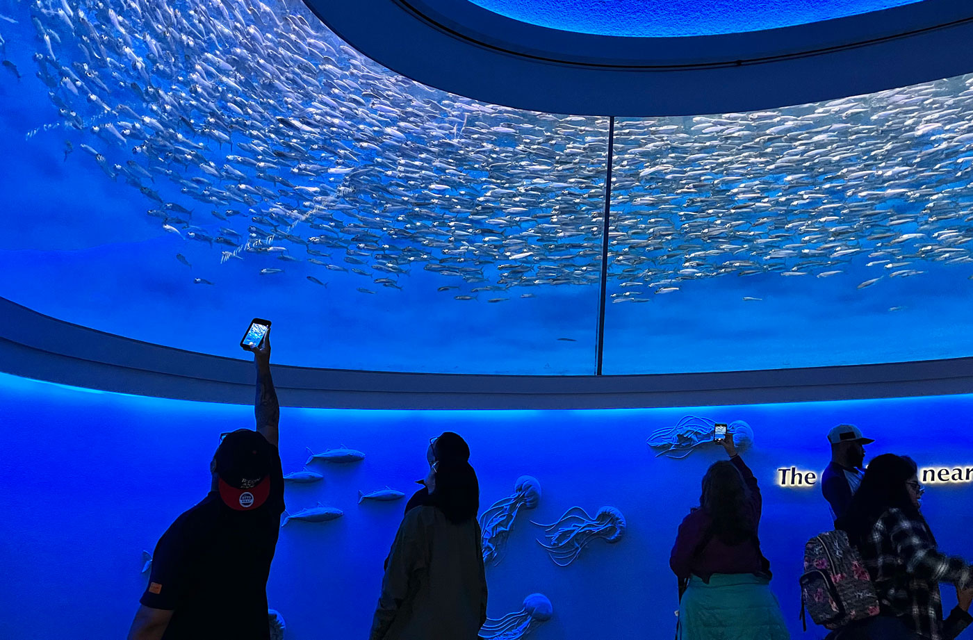 Gonzales Youth Guardians visit Monterey Bay Aquarium Salinas