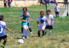 South County Soccer League jamboree ends season