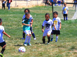 South County Soccer League jamboree ends season