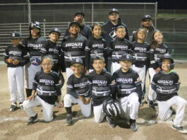Little League tourney begins this weekend for South Monterey County teams