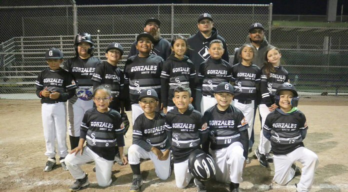 Little League tourney begins this weekend for South Monterey County teams