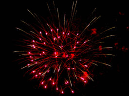 Animal Services reminds pet owners to prepare for fireworks