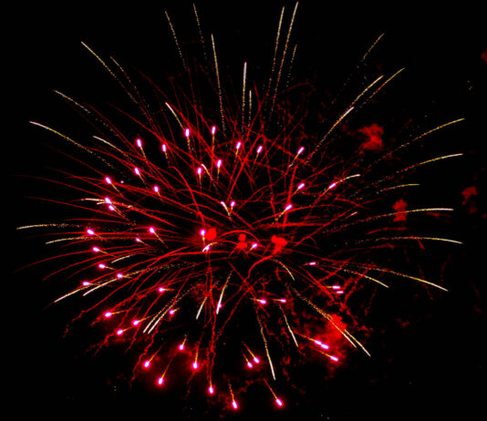 Animal Services reminds pet owners to prepare for fireworks