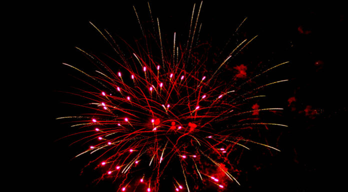 Animal Services reminds pet owners to prepare for fireworks