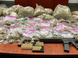 Police seize illegal guns, drugs and fireworks in Greenfield