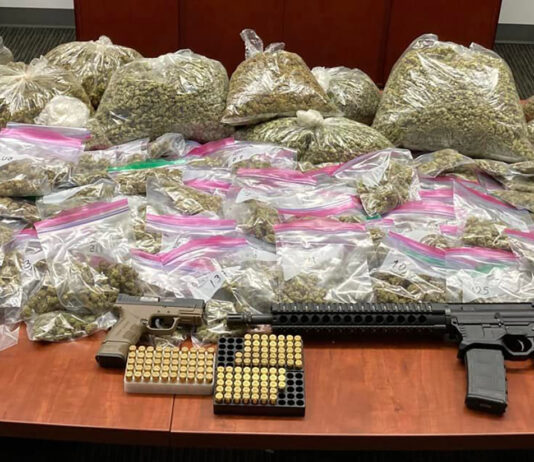 Police seize illegal guns, drugs and fireworks in Greenfield