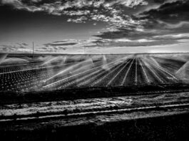 Salinas Valley inspires native’s photography exhibit