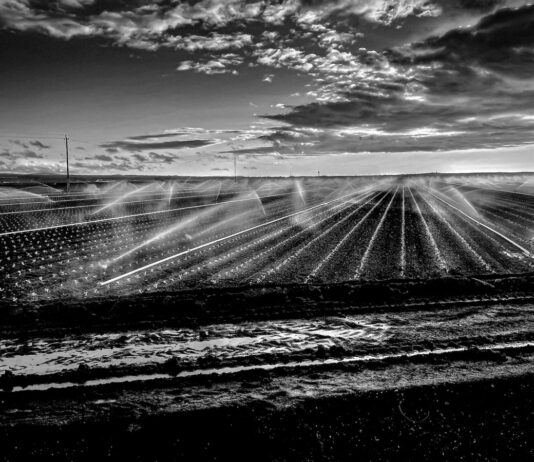 Salinas Valley inspires nativeās photography exhibit