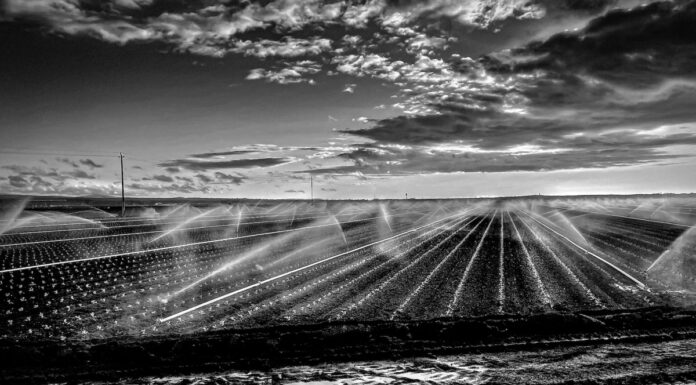 Salinas Valley inspires native’s photography exhibit