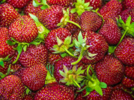 Monterey Countyās crop values increase in 2021