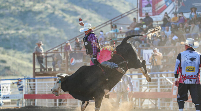California Rodeo Salinasā Big Week expects big crowd