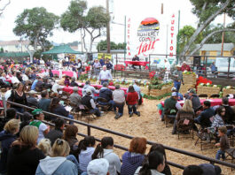 Monterey County Fair Junior Livestock Auction to honor local youths and their animals