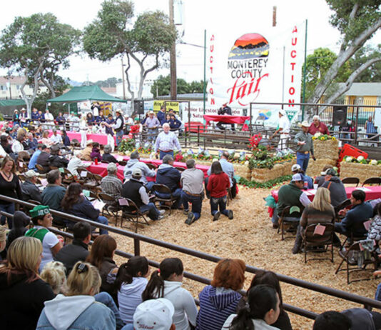 Monterey County Fair Junior Livestock Auction to honor local youths and their animals
