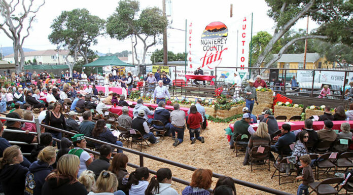 Monterey County Fair Junior Livestock Auction to honor local youths and their animals