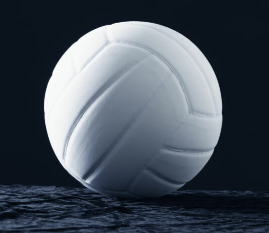 Volleyball | South Monterey County teams ready for new season