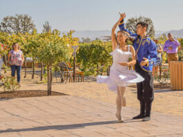 Monterey County Dance Foundation raises money for ballet costumes