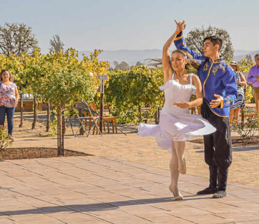 Monterey County Dance Foundation raises money for ballet costumes