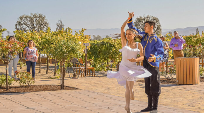 Monterey County Dance Foundation raises money for ballet costumes