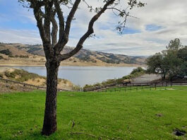 Toxic algae warnings downgraded at Lake San Antonio