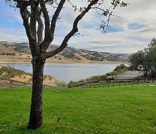 Toxic algae warnings downgraded at Lake San Antonio