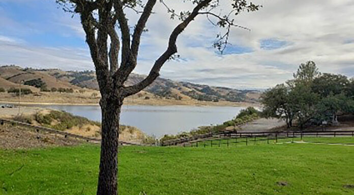 Toxic algae warnings downgraded at Lake San Antonio