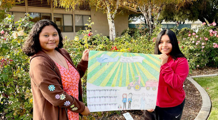 Mee Memorial announces winners of National Rural Health Day student poster contest