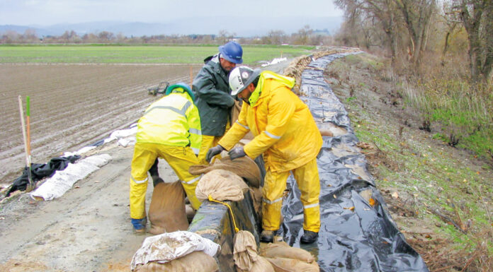 Farmers suffer losses as Salinas Valley fields flood