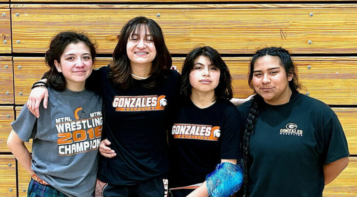 Wrestling | South Monterey County girls move on to regionals