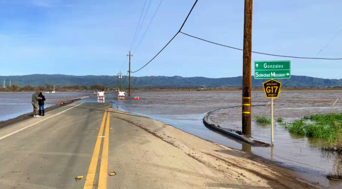 Monterey County farmers estimate $336M in losses from recent storms