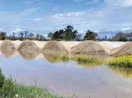 Farms statewide hit by storms and floods