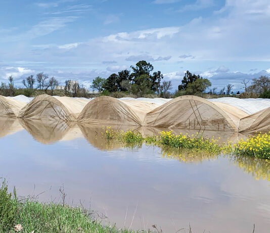 Farms statewide hit by storms and floods