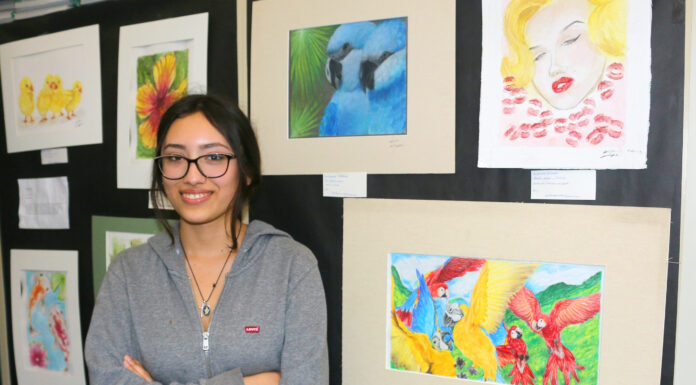 Greenfield High School students show off their best artwork