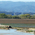 Image for display with article titled Winter Storms Cause $600M in Monterey County Ag Losses