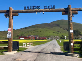 Free courses equip Rancho Cielo students with essential financial skills