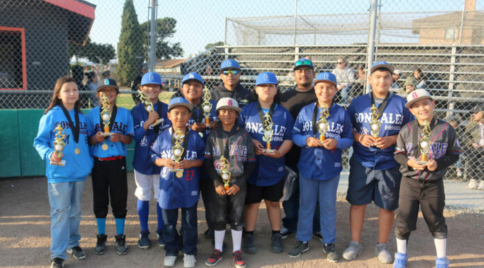 Little League All-Star season begins for South Monterey County teams