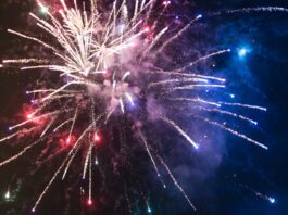 Soledad Police release illegal fireworks statistics