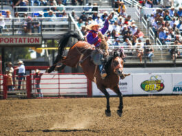 Crowds flock to 2023 California Rodeo Salinas