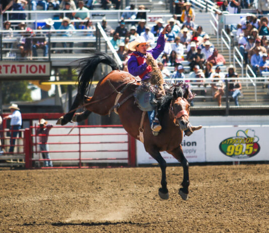 Crowds flock to 2023 California Rodeo Salinas