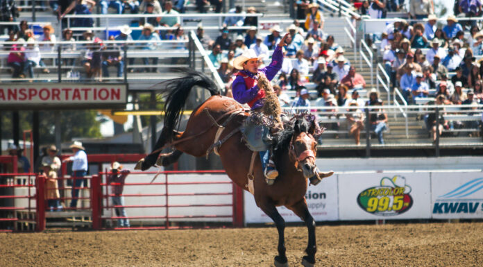 Crowds flock to 2023 California Rodeo Salinas