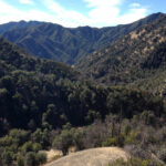 Image for display with article titled 160 acres protected in Ventana Wilderness west of Salinas Valley