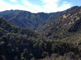 160 acres protected in Ventana Wilderness west of Salinas Valley