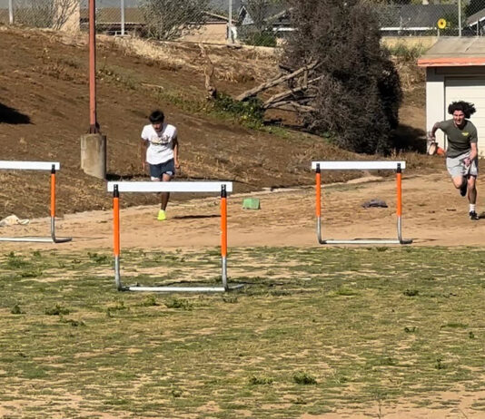 Gonzales High stadium upgrade moves forward with synthetic turf