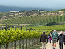 CRU Winery to host late summer hiking series in Soledad Winery vineyard hiking