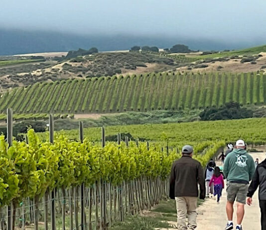 Soledad winery hiking series returns Sunday Winery vineyard hiking