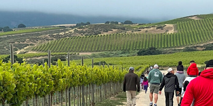 Winery vineyard hiking