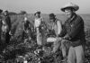 Monterey County supervisors to honor original Bracero workers